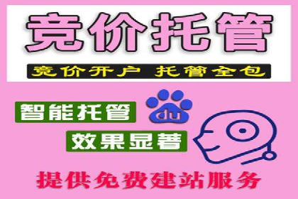 竞价广告的优化技巧：XX行业领先企业的成功经验